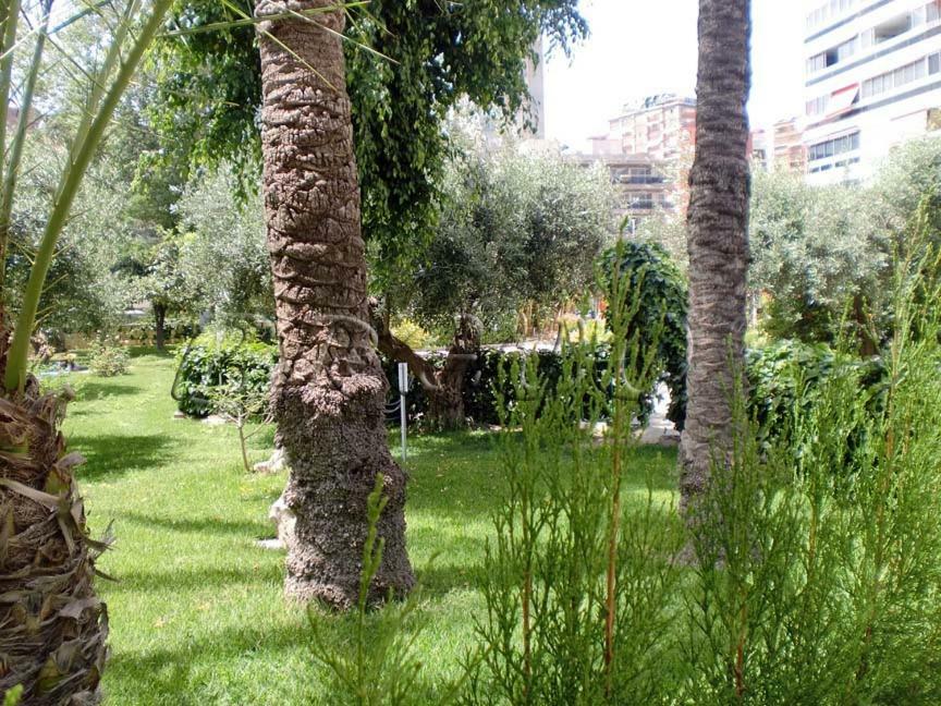 Apartamentos Cervantes Benidorm Zewnętrze zdjęcie